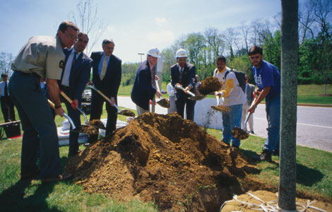freeman_trees Planting trees