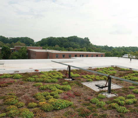 Green Roof