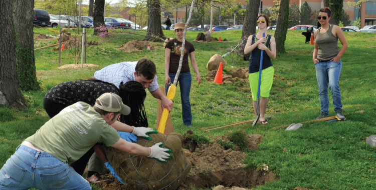 Students planting trees