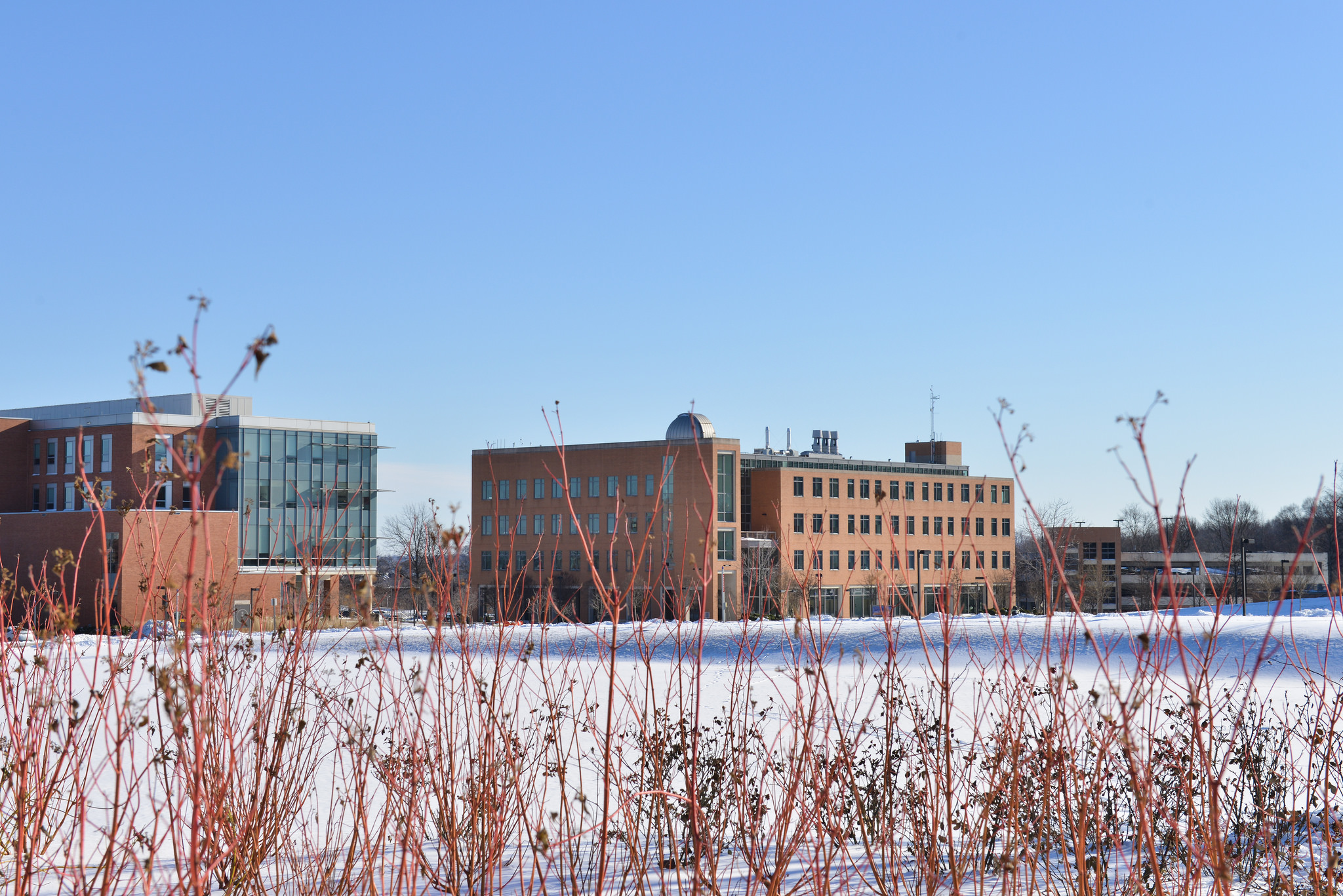 Snowy day at UMBC