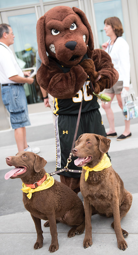 Mascots meet at the Puppy Parade, as True Grit gets a grip on some of the Chesapeake Bay Retriever puppies