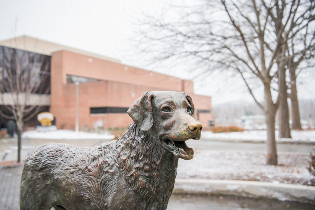 UMBC winter campus 2018