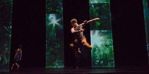 Baltimore Dance Project - LightForest