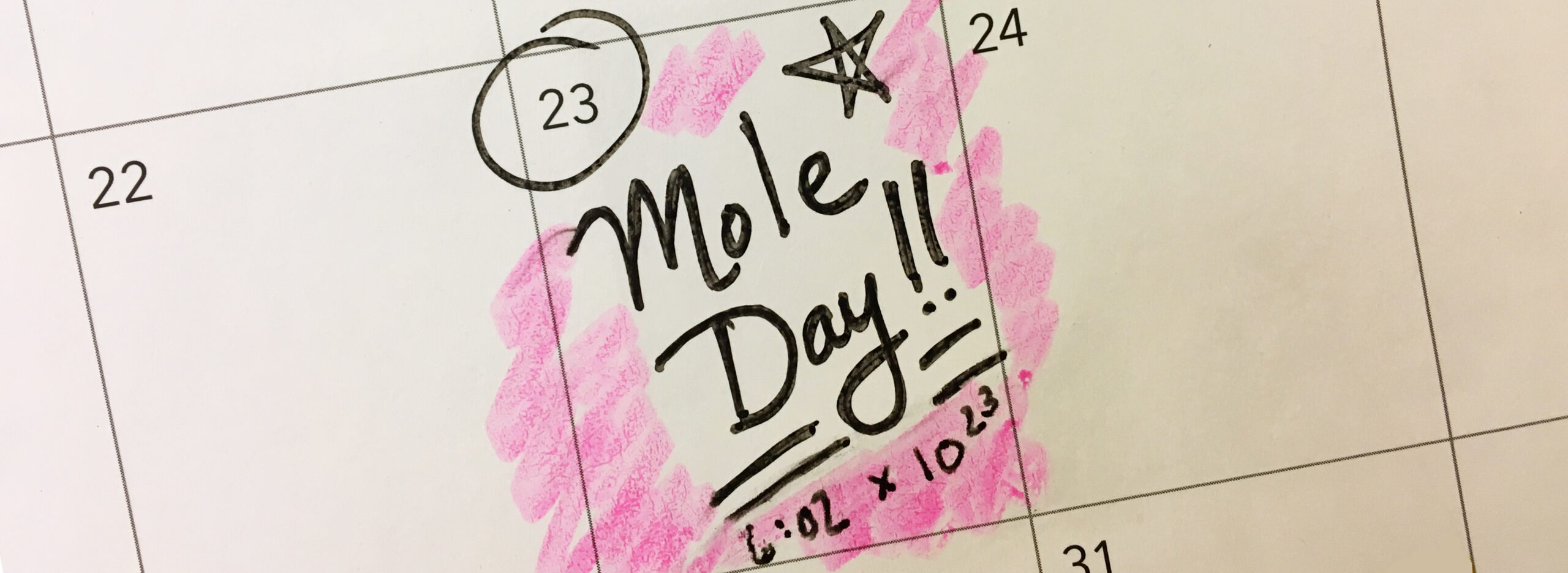 an illustration that says Mole Day!!