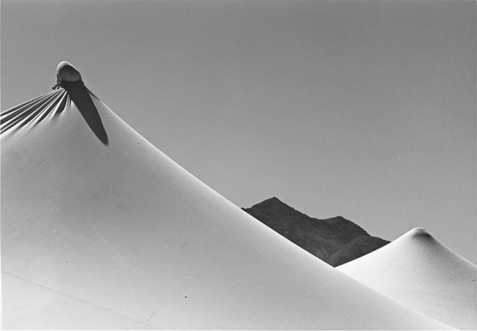 Barbara Traub, Twin Peaks, 1994, gelatin silver print. Accession no. 2013-02-022,  © Barbara Traub, used with permission