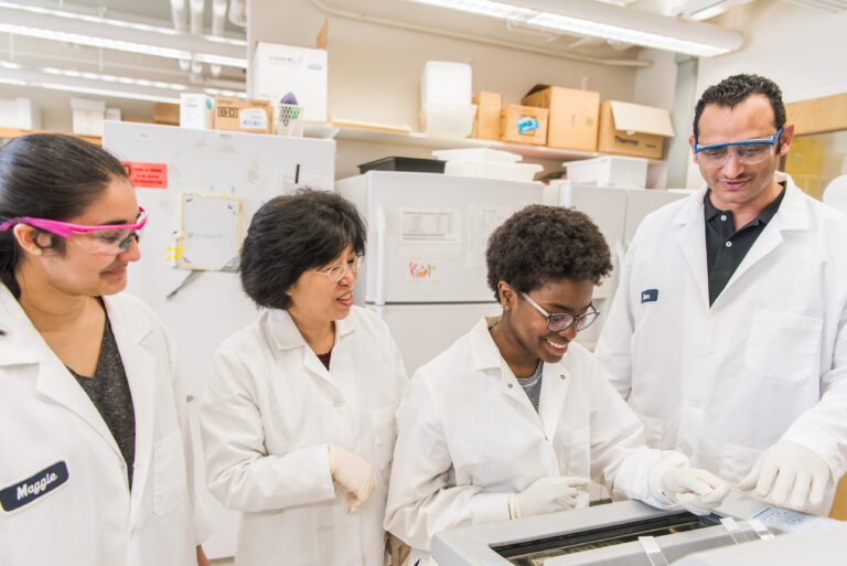 Students work in a biology lab with the assistance of professors.