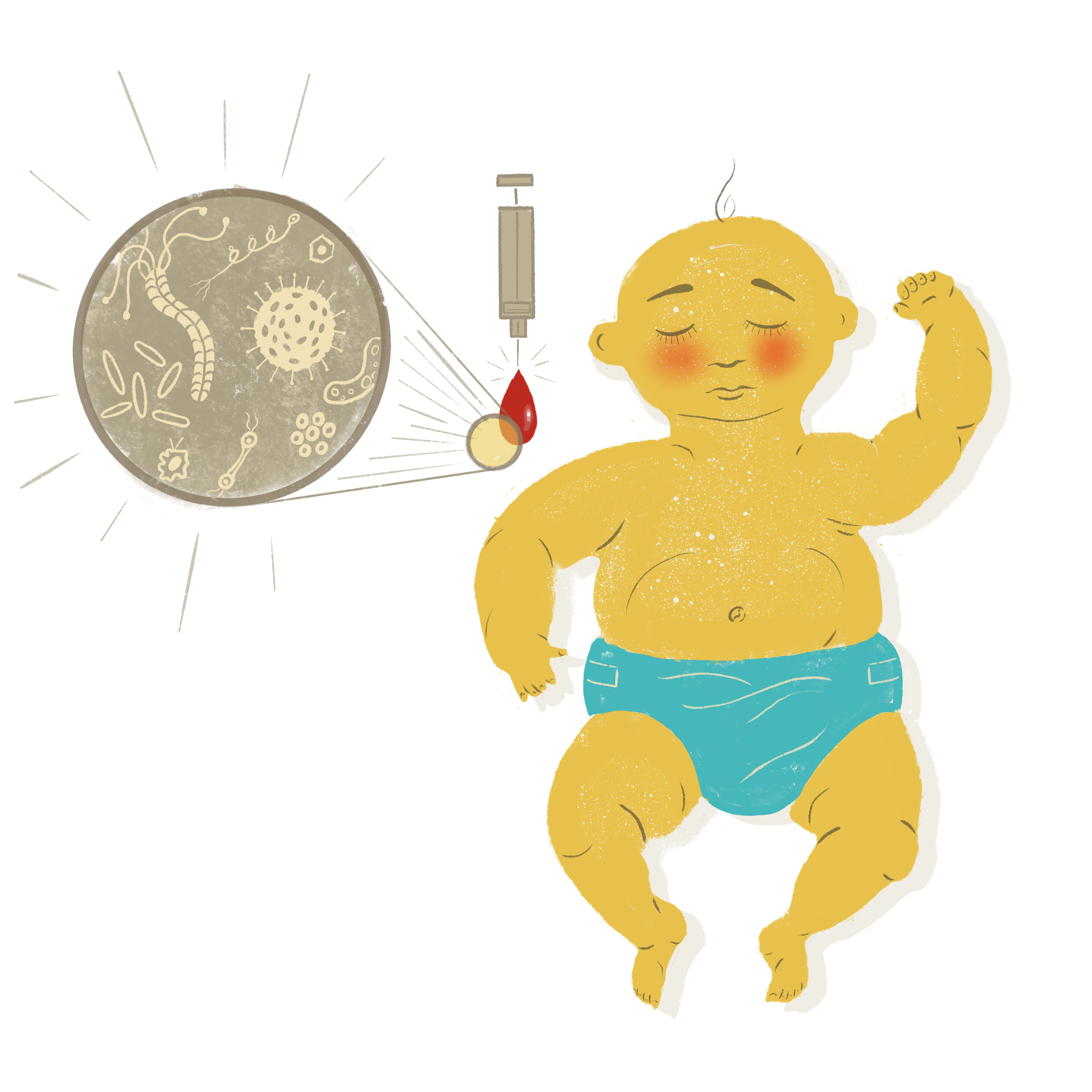 Brucie Rosch illustration