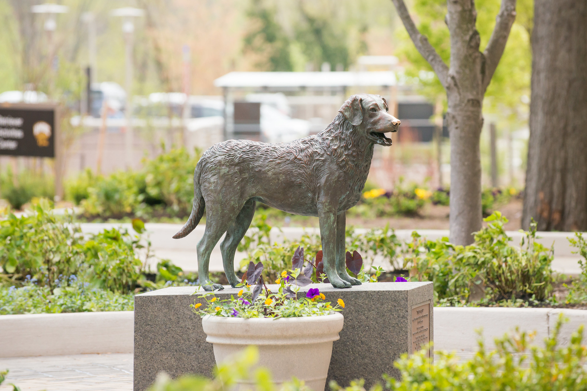 https://www.flickr.com/photos/umbc/35953347940/in/album-72157641275729635/