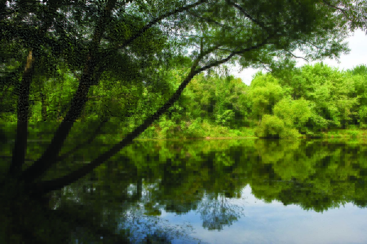 Pig Pen Pond, a common Science 100 site, sits between campus and bwtech@UMBC.