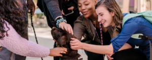 students pet chip the dog