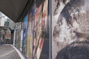 A curved wall on the outside of a building lined with images of marine life.