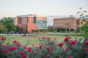 roses in foreground, open field, two brick buildings in background