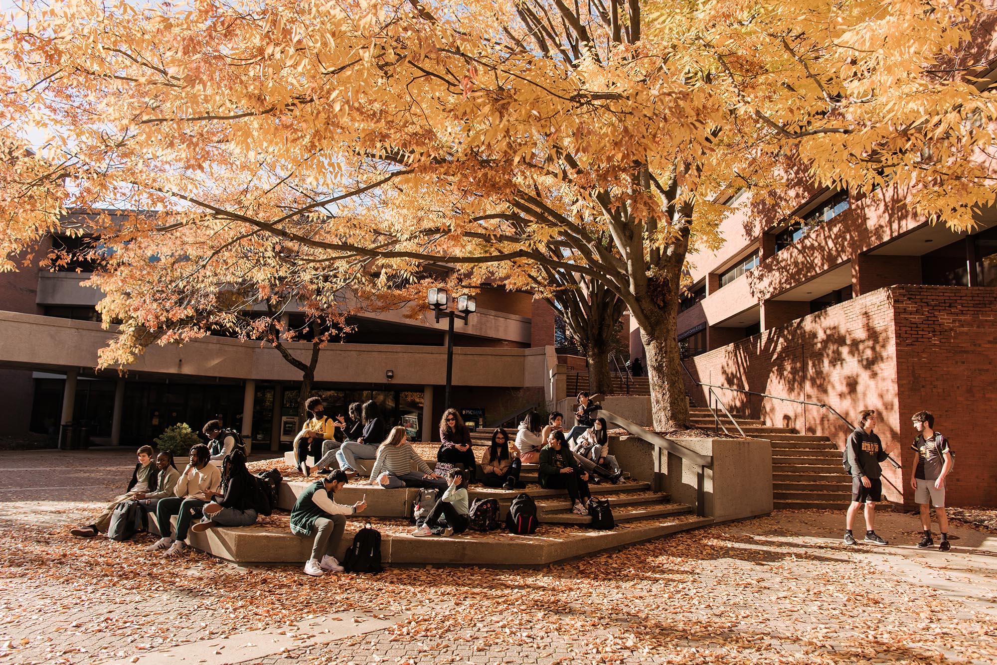 UMBC students congregating at the University Center open space under fall foliage