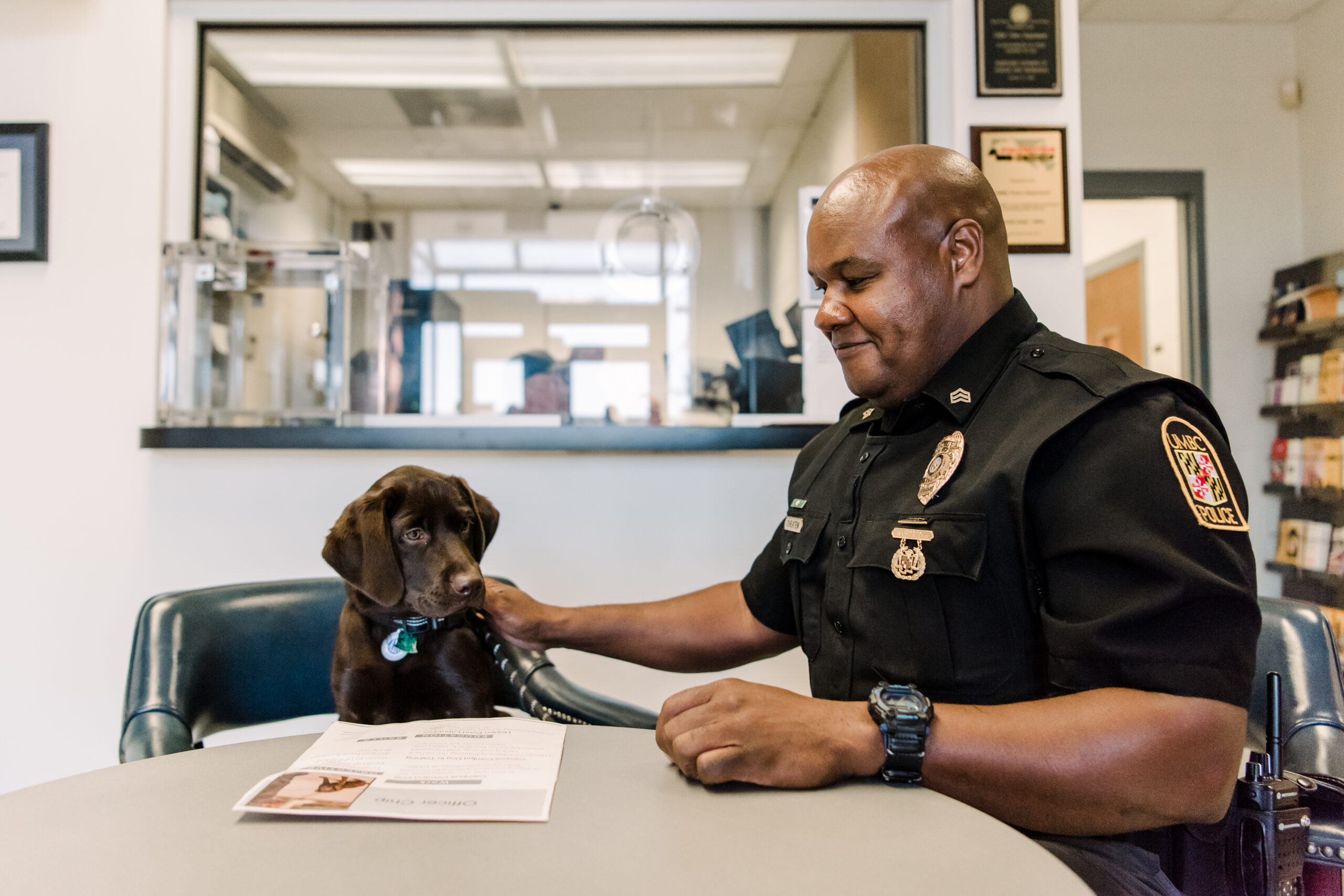 Police officer and chocolate lab dog stare at each other at a table