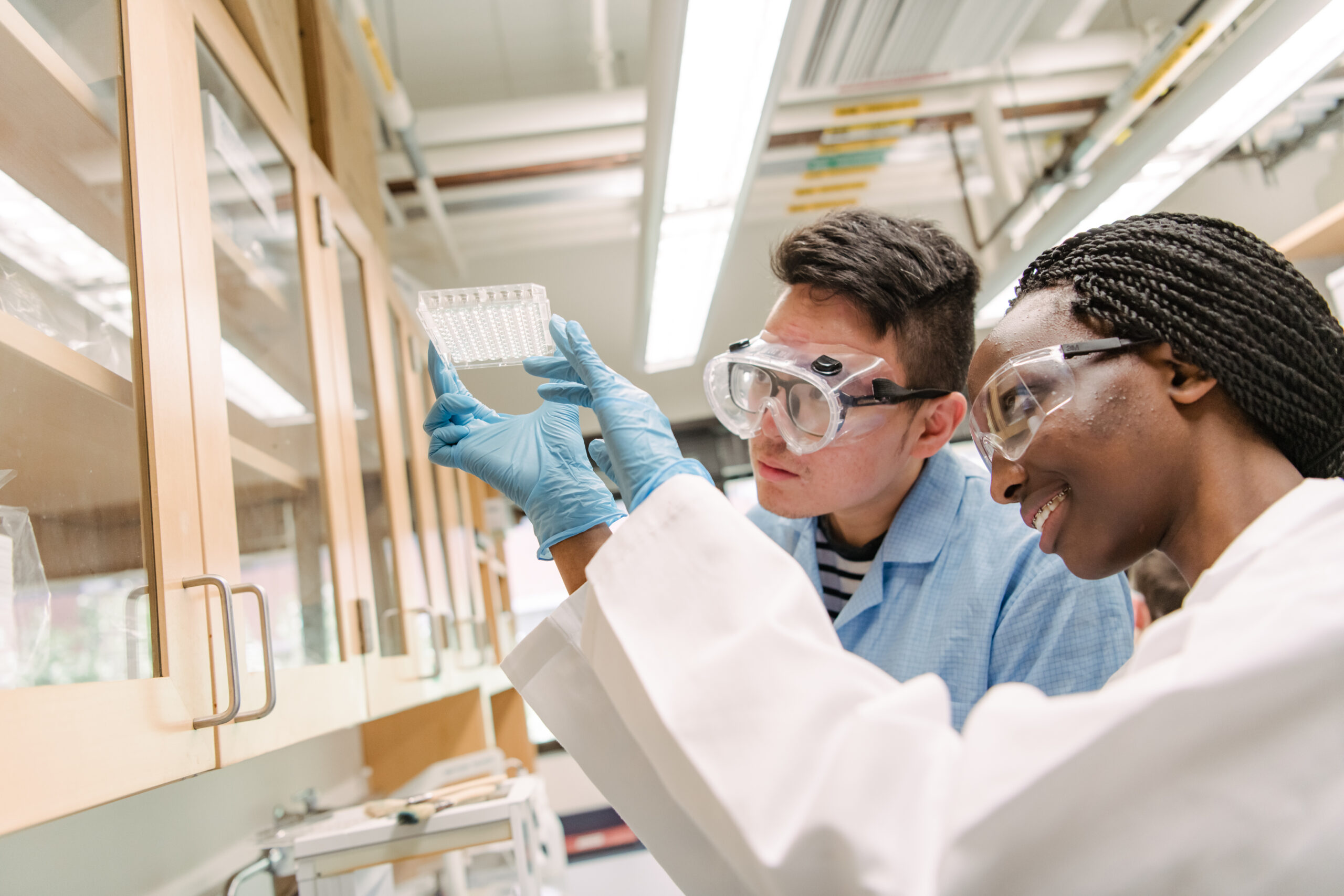 two students observe a well plate in a brightly lit laboratory