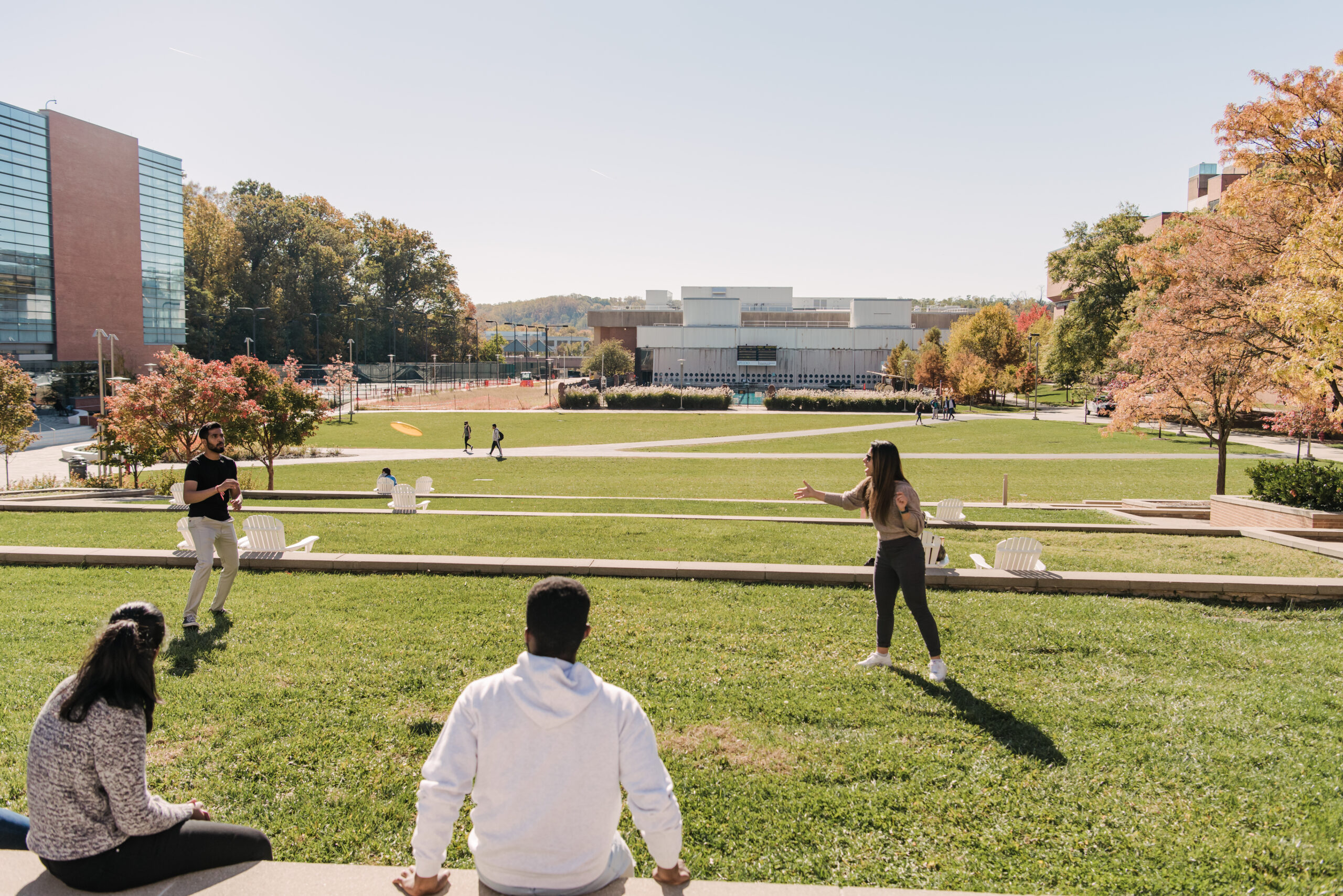 students play frisbee on a sunny day