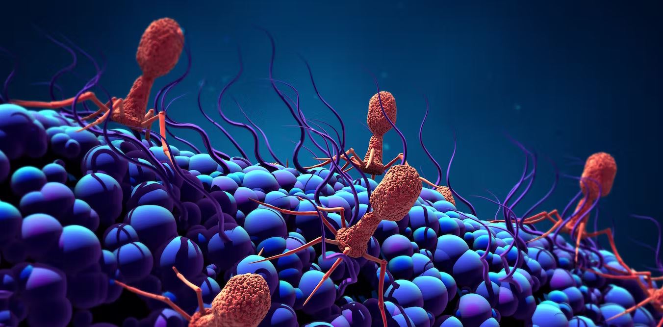 red robot-shaped viruses on the surface of a purple-blue cell, artist's rendering