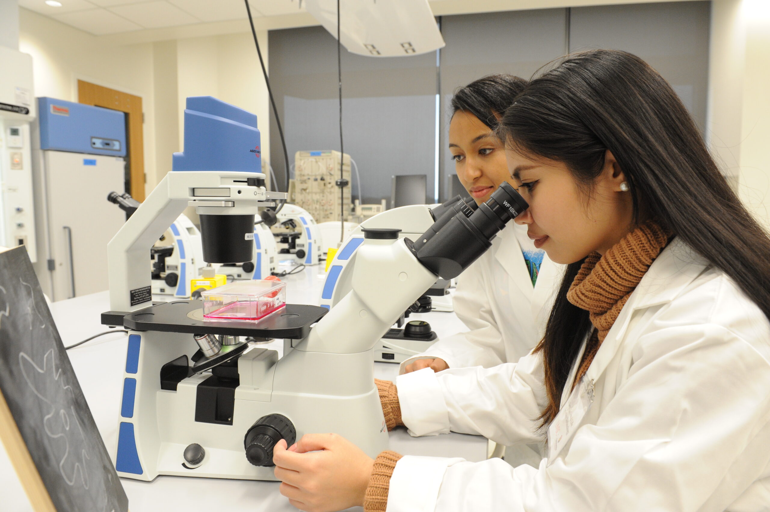 Two women scientists look at something with a microscope