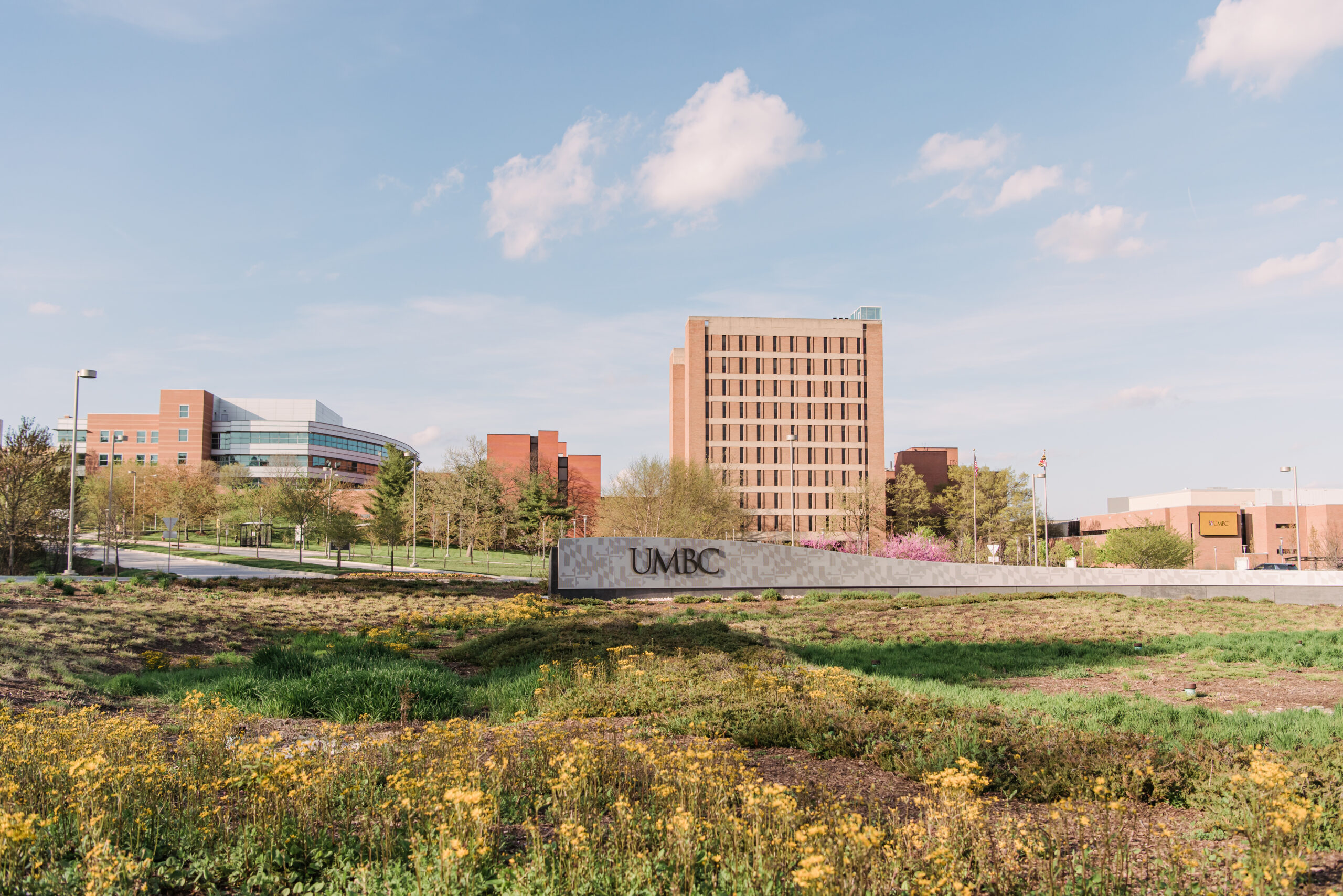 Seigar Named Dean of the College of Natural and Mathematical Sciences