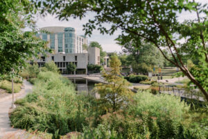 AOK library pond