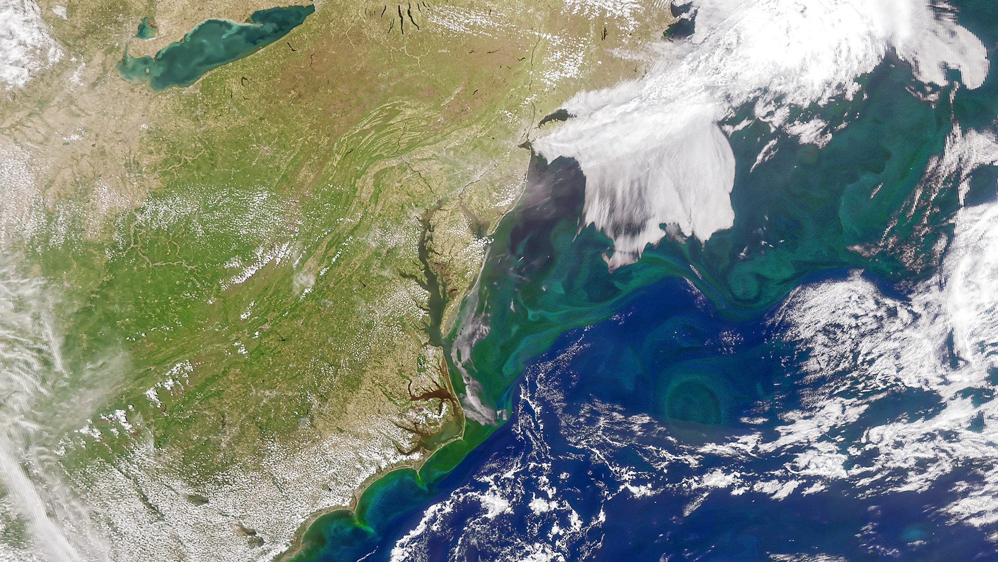 view from space of the eastern half of the U.S. and western portion of the Atlantic Ocean. Swirling green eddies can be seen in the blue water, and green patches show plant growth on land.