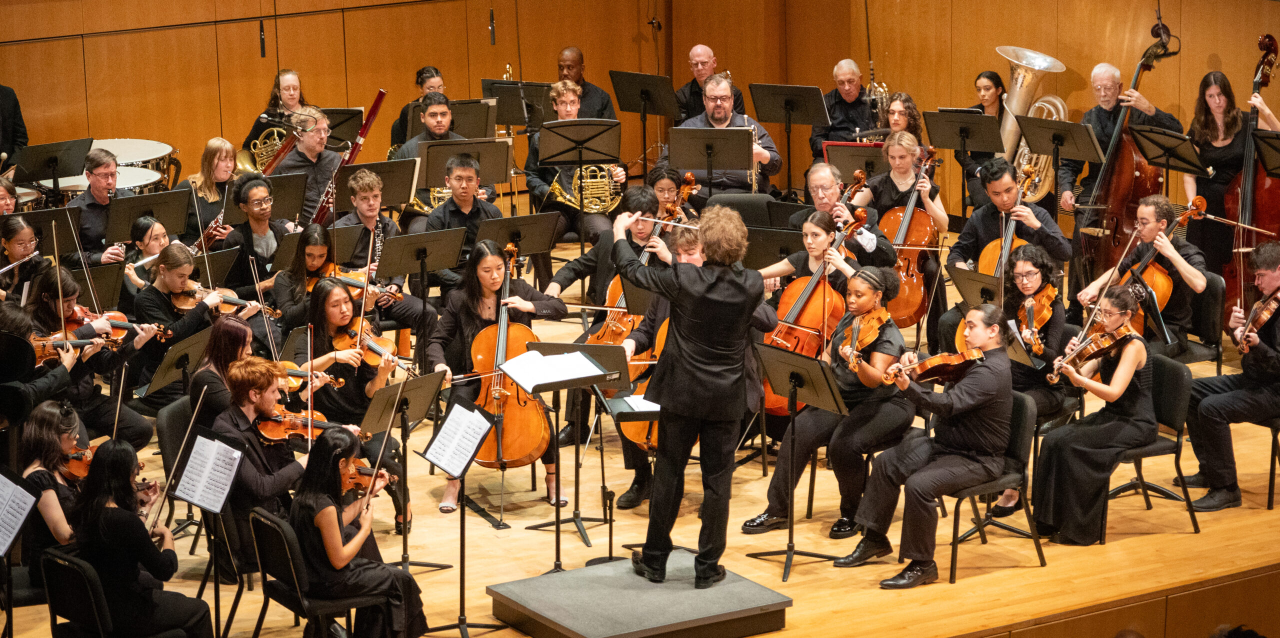 A symphony orchestra performs on stage.