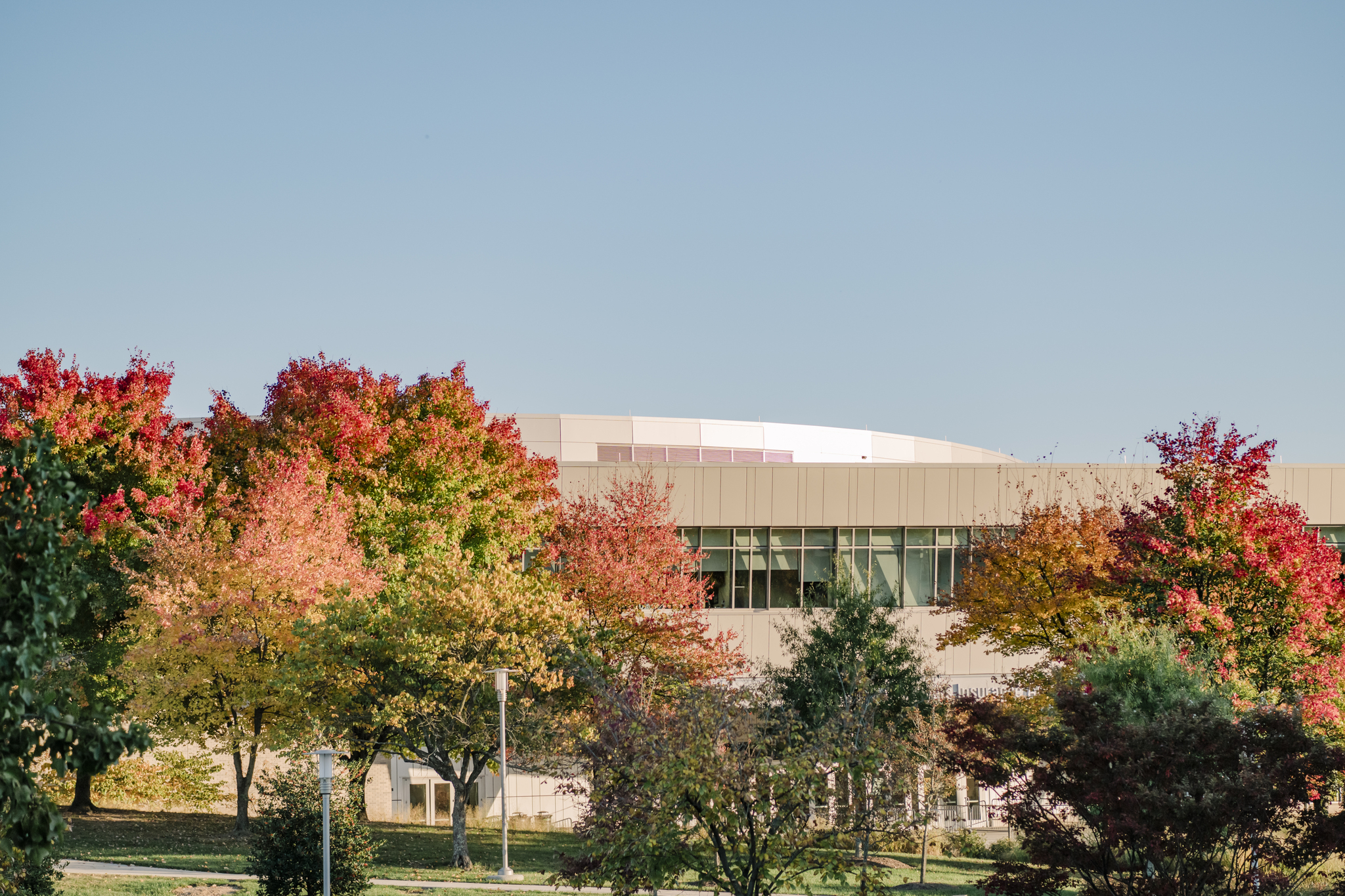 UMBC's campus in the fall