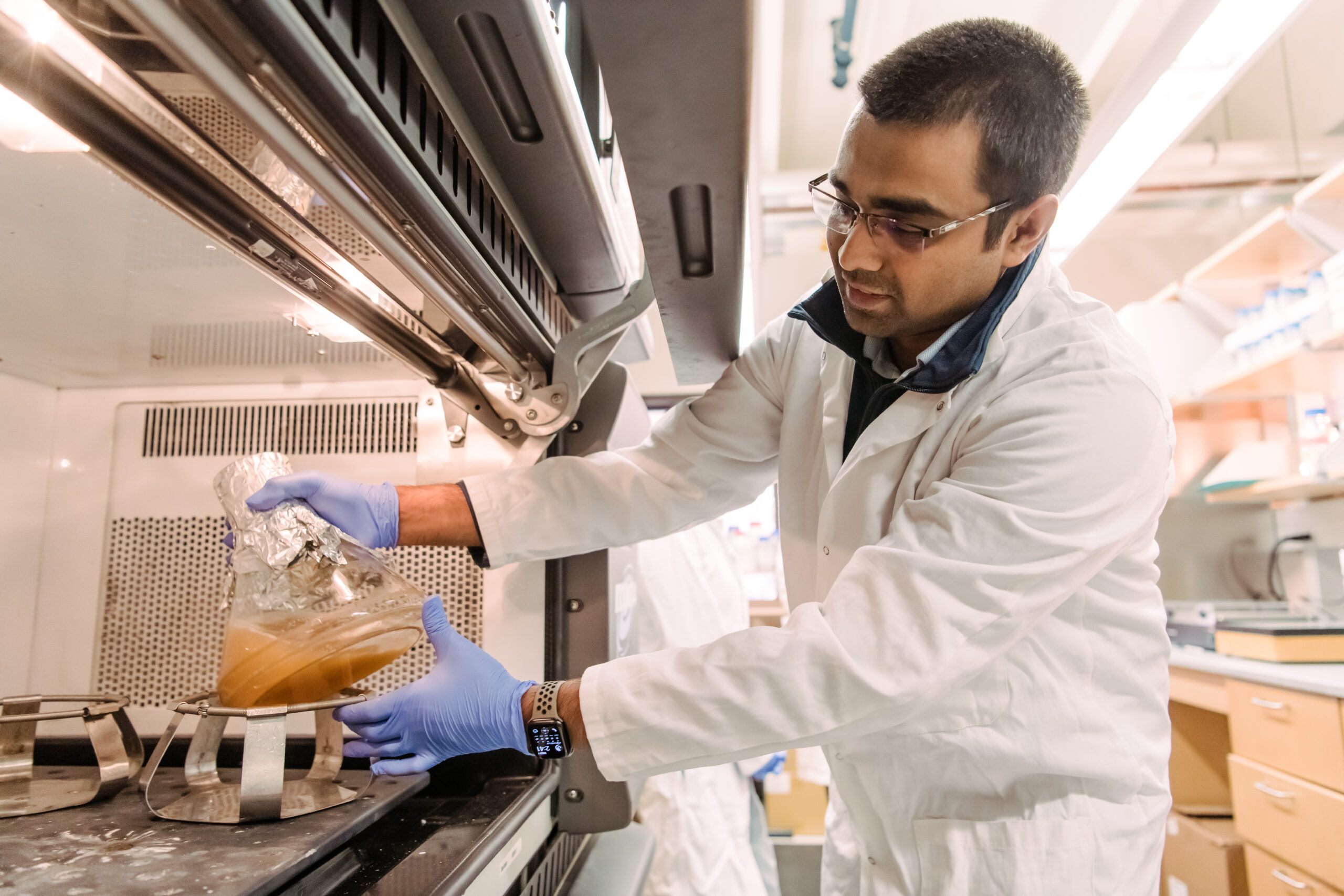 grad student in lab coat, gloves, and safety glasses handles a large flask under a fume hood containing a tan liquid