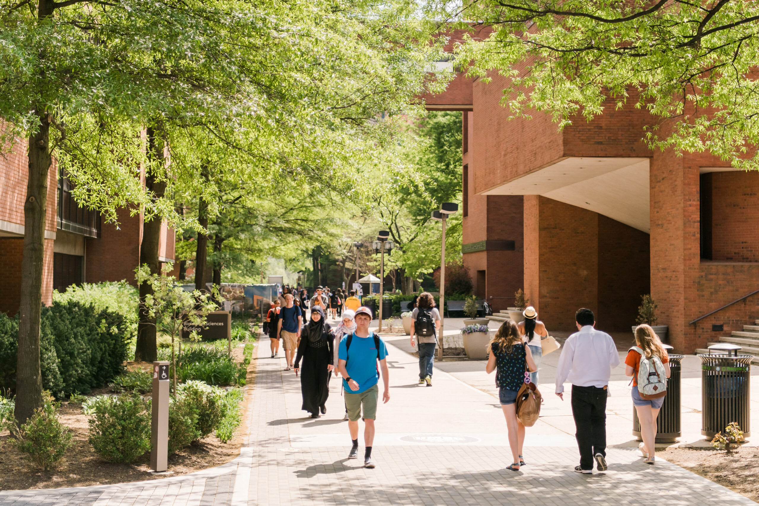 brick walkway with about a dozen students walking along, trees beginning to leaf out, two brick buildings on either side of the walkway